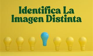 Identifica <b>La</b> Imagen Diferente