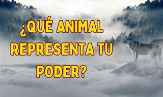 ¿Qué <b>Animal</b> Representa Tu Poder?