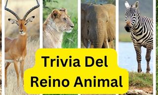 <b>Trivia</b> Difícil Del Reino Animal
