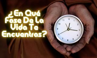 ¿En Qué <b>Fase</b> De La Vida Te Encuentras?