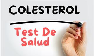 ¿Cuánto Sabes Sobre El Colesterol?