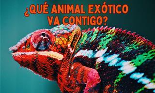 ¿Qué <b>Animal</b> Exótico Va Contigo?