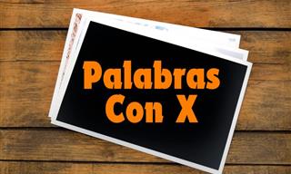 Test De Palabras Con X