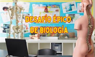 Desafío De Biología