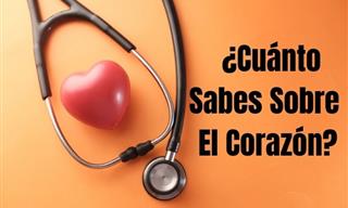 ¿Cuánto Sabes Sobre <b>El</b> Corazón?