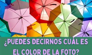 ¿Cuál Es El Color De La <b>Foto</b>?