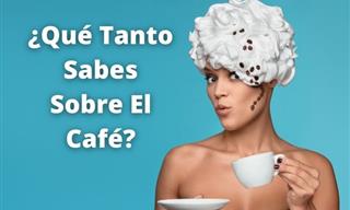 ¿Qué Sabes <b>Sobre</b> El Café?