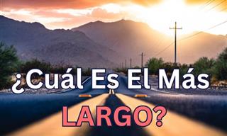 ¿Cuál Es El <b>Más</b> Largo?