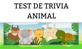 <b>Test</b> <b>De</b> Trivia <b>De</b> Animales