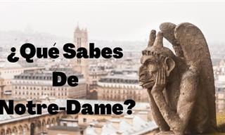 ¿Qué Sabes <b>De</b> Notre-Dame?