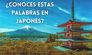 Palabras Japonesas Comunes