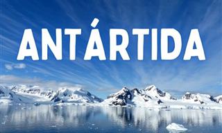 ¿Qué Sabes Sobre La Antártida?