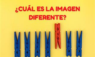 ¿Cuál Es La <b>Imagen</b> <b>Diferente</b>?