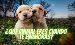 ¿Qué <b>Animal</b> <b>Eres</b> Cuando Te Enamoras?
