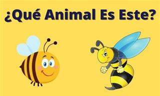 ¿Puedes Decir Qué <b>Animal</b> <b>Es</b>?
