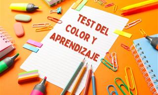 Test <b>Del</b> Color y Tu Tipo De Aprendizaje