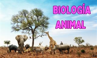 ¿Cuánto Sabes Sobre La <b>Biología</b> De Los Animales?