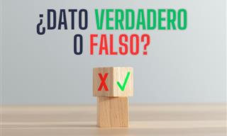 ¿Dato <b>Verdadero</b> o <b>Falso</b>?