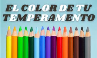 ¿Qué <b>Revelan</b> Los Colores De <b>Tu</b> Temperamento?