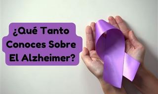 ¿Cuánto Sabes Sobre El Alzheimer?