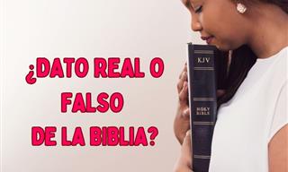 ¿Dato <b>Real</b> o Falso De La Biblia?