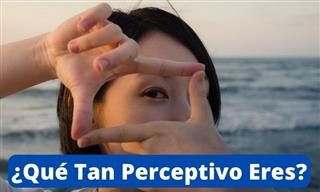 ¿Qué Tan Perceptivo <b>Eres</b>?