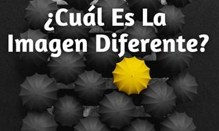 Test De Encuentra Las Diferencias