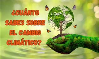 ¿Cuánto Sabes Sobre El Cambio Climático?